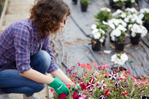 Flower bed creation idea for a Spitalfields courtyard garden