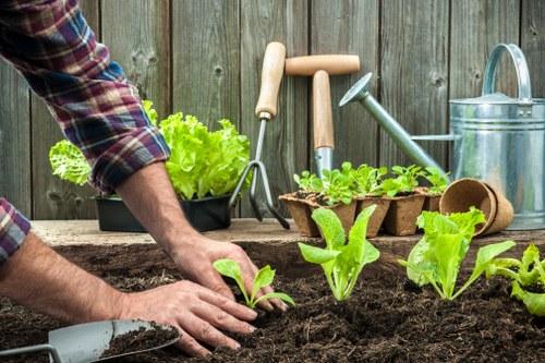 Professional planting and border preparation for a local East London property