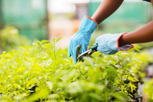 Emergency readiness and safe working practices on a landscaping site