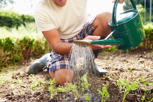 Screen-reader friendly landscaping information page