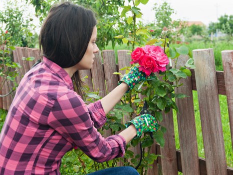 Professional garden care for a terrace and planter area near Spitalfields