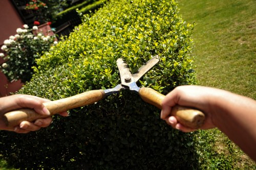 Regular lawn mowing for residential and shared outdoor spaces