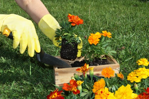 Investigation stage of a landscaping complaint with site review