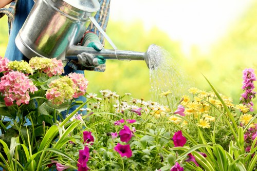 Local lawn care work for a shaded Spitalfields outdoor space