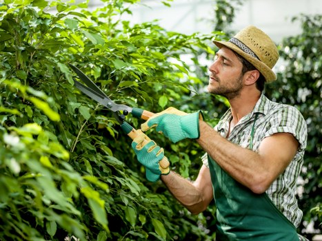Landscapers Spitalfields shaping a refined outdoor space in London