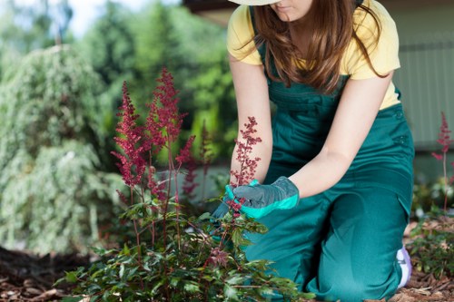 Example landscaping quote for a terrace garden in Spitalfields