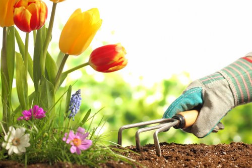 Insured rubbish company completing a safe and tidy landscaping project