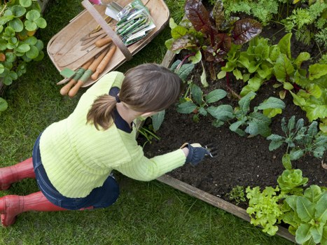 Keyboard navigation support for a local landscaping website