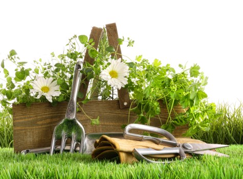 SSL-encrypted payment process for Landscapers Spitalfields