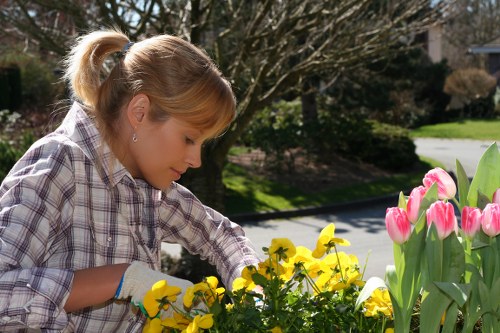 Supplier audit and compliance review in landscaping operations